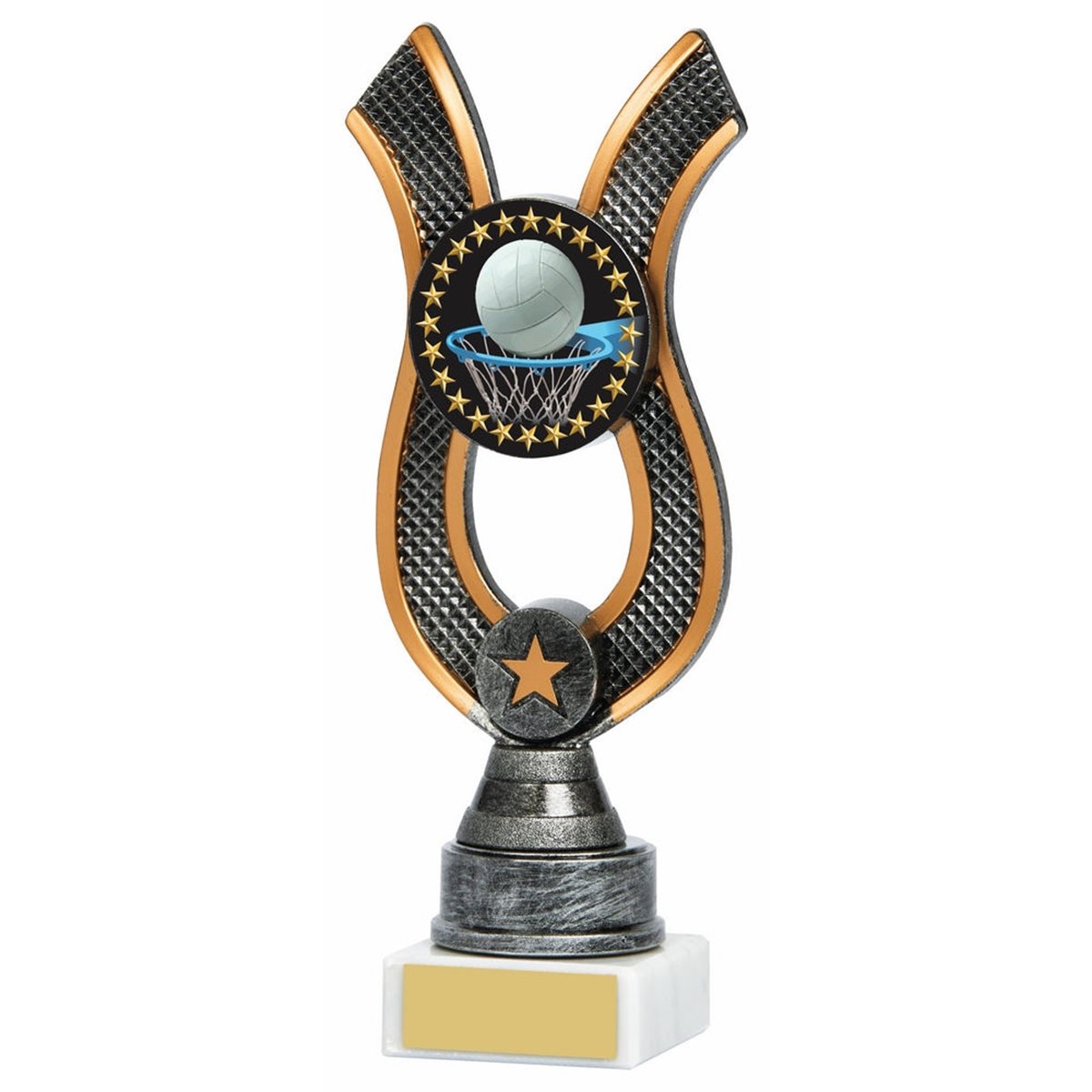 Netball Antique Silver Ribbon Award 1694
