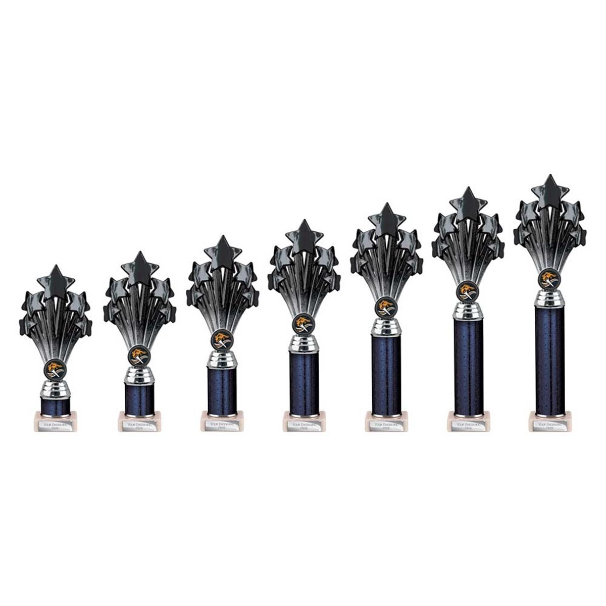 5 Star Black & Silver Column Award TR26548