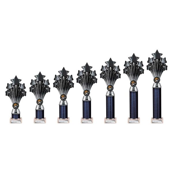 5 Star Black & Silver Column Award TR26548