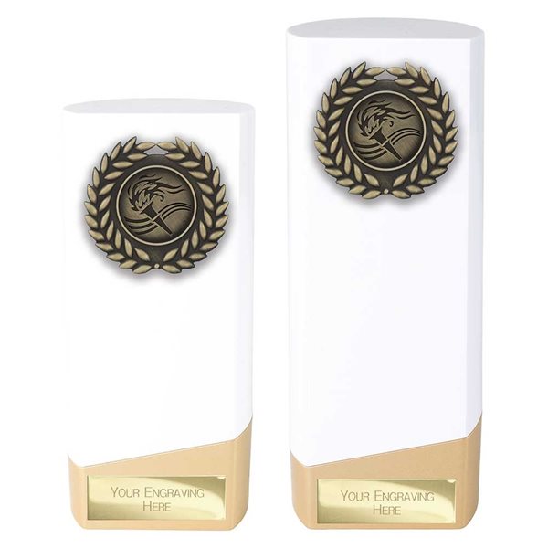 White and Gold Prime Heavyweight Multi-sport Award PA26652