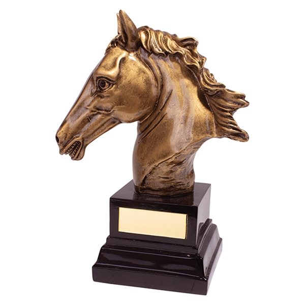 Belmont Deluxe Equestrian Resin Trophy RF19140A