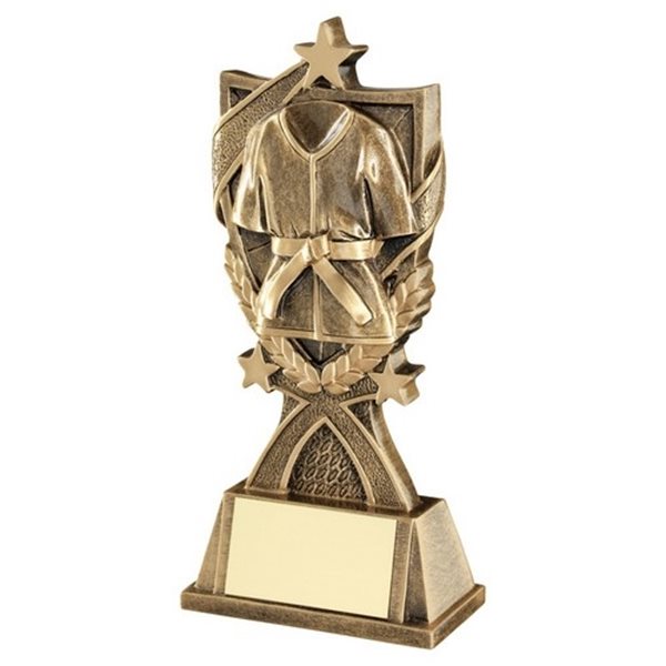 Martial Arts Resin Trophy JR11-RF462