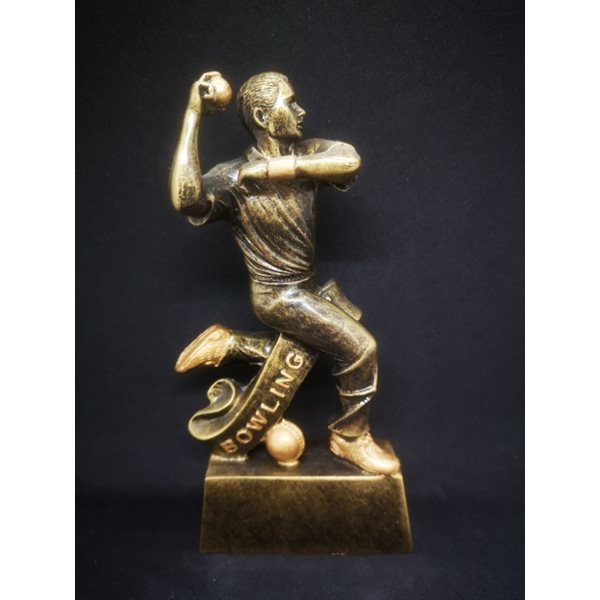 Cricket Award SBC1 - Bowler Award