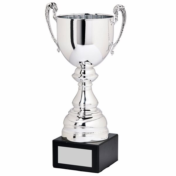 Silver Presentation Cup 367