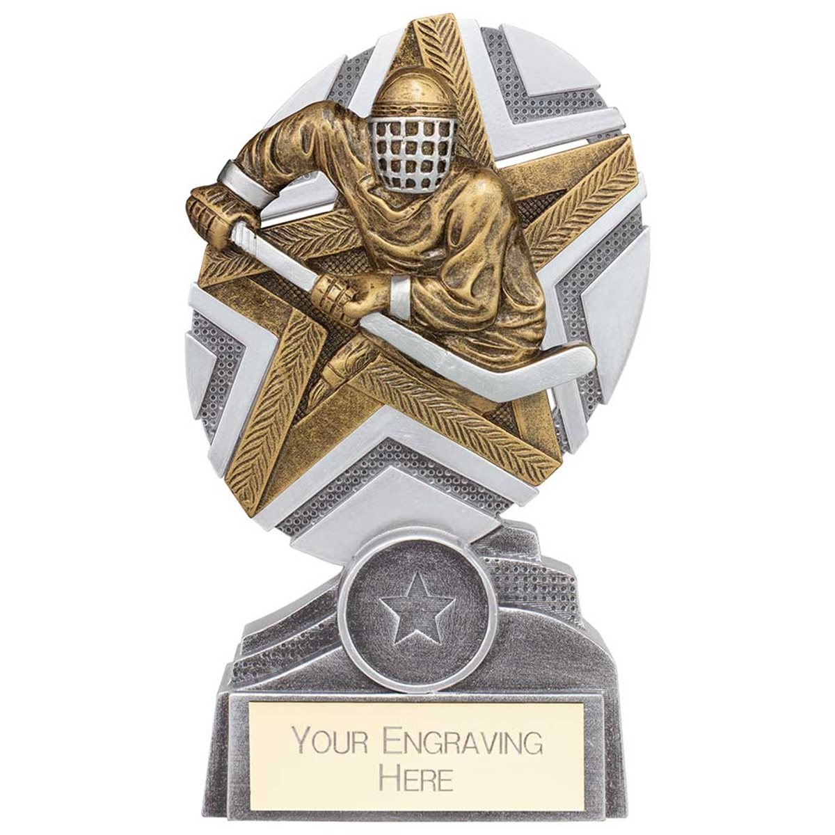 Ice Hockey Stars Series Resin Trophy PA24252