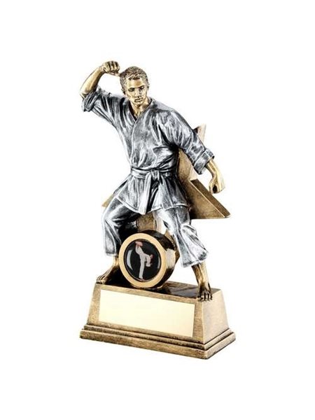 Martial Arts Trophies