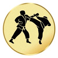 Karate (J17351A)