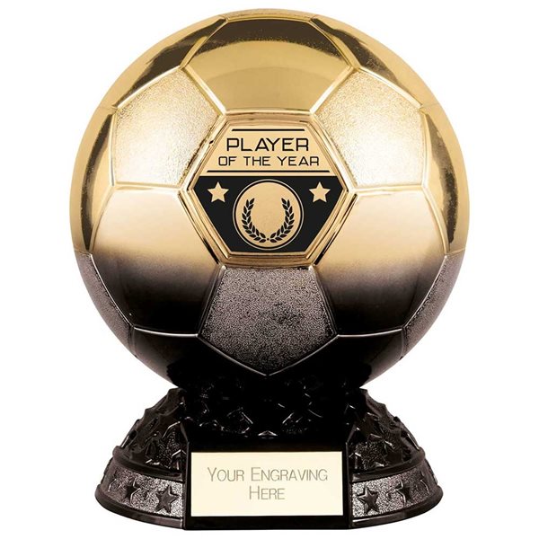 Player Of The Year Elite Football Award PM23117
