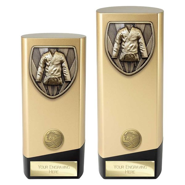 Gold and Black Prime Heavyweight Martial Arts Award PA24201