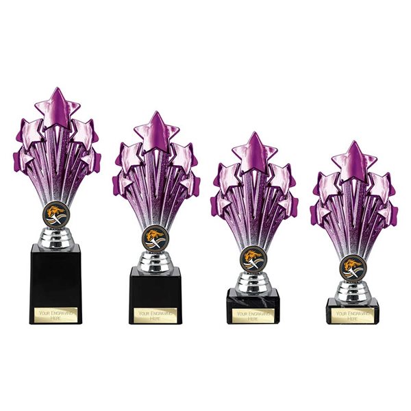5 Star Purple & Silver Award TR26545