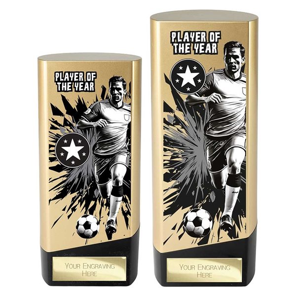 Gold and Black Prime Player of the Year Award PA26130