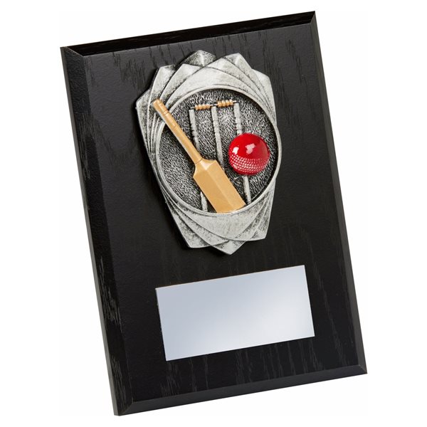 Cricket Wooden Plaque Award 1787