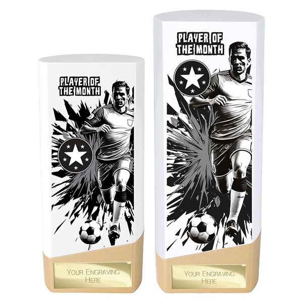 White and Gold Prime Player of the Month Award PW26137