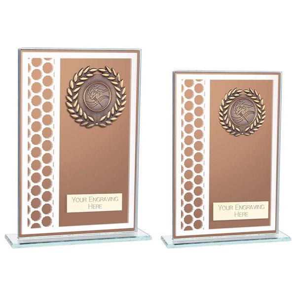 Economy Bronze Mirrored Glass Award with Gold Wreath CR23575