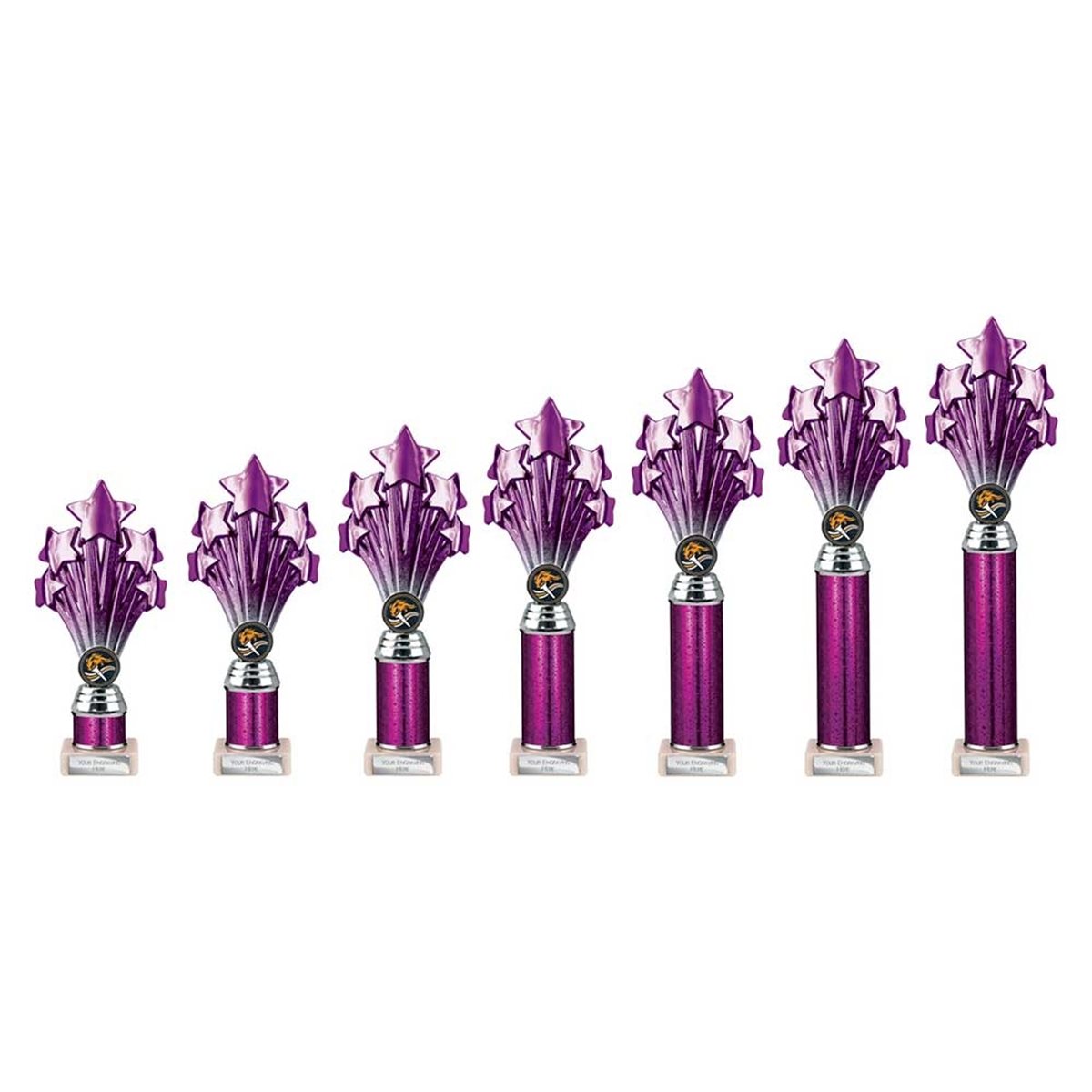 5 Star Purple & Silver Column Award TR26552