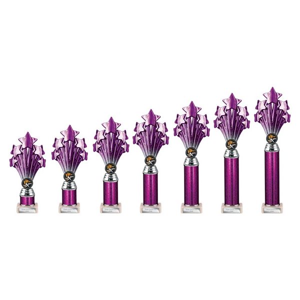 5 Star Purple & Silver Column Award TR26552