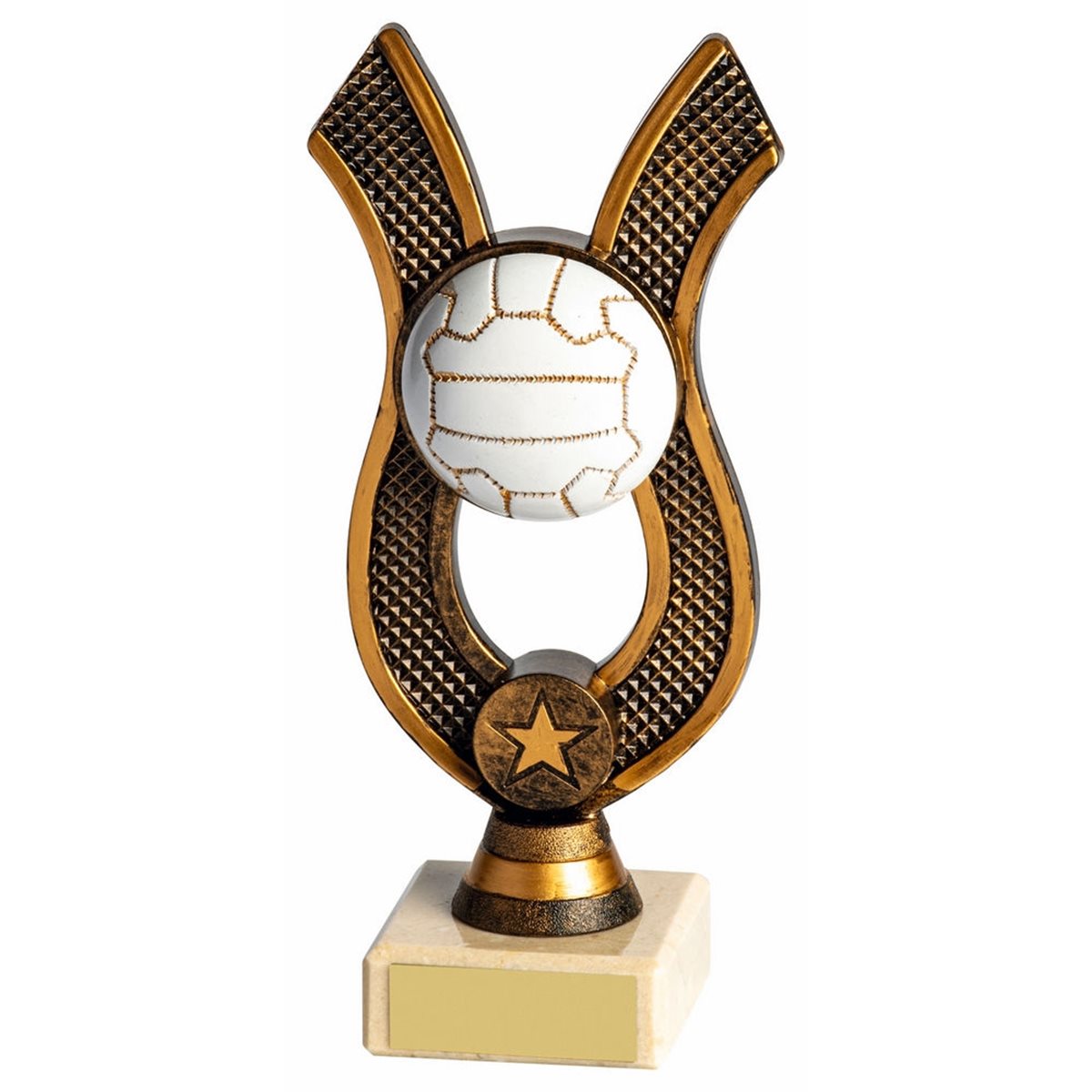 Netball Award 1506