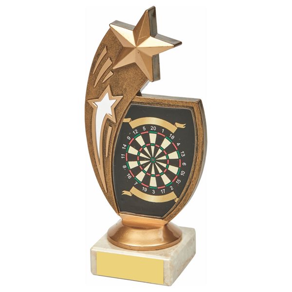 Darts Star Award 1255
