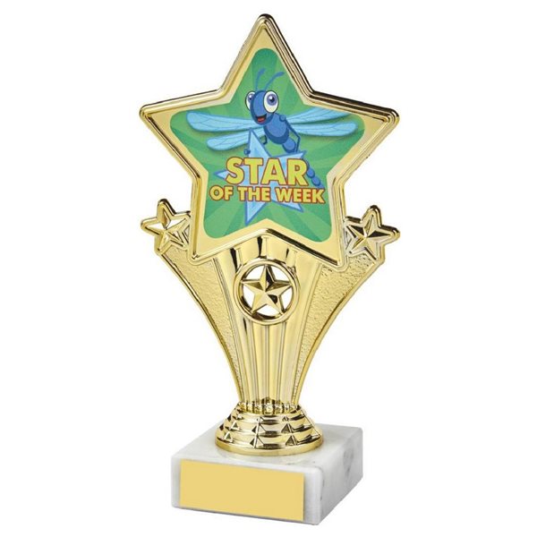 Star Of The Week Fun Star Award 1112P