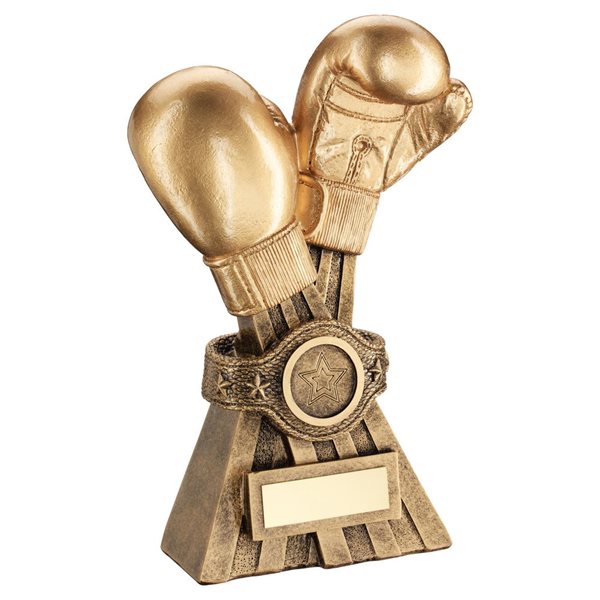 Boxing Gloves Resin Trophy JR10-RF660