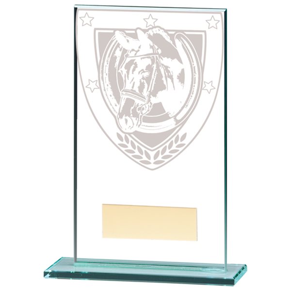 Millennium Equestrian Glass Award CR20375