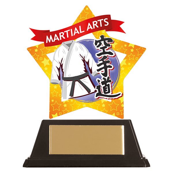 Mini Star Acrylic Karate Trophy AC19675A