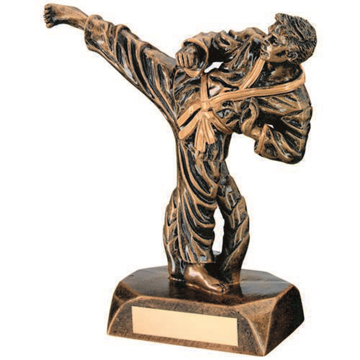 Male Martial Arts Resin Award JR11-RF30