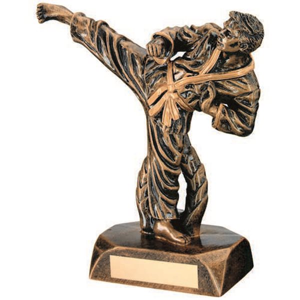 Male Martial Arts Resin Award JR11-RF30