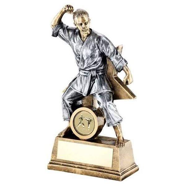 Female Martial Arts Resin Award JR11-RF186