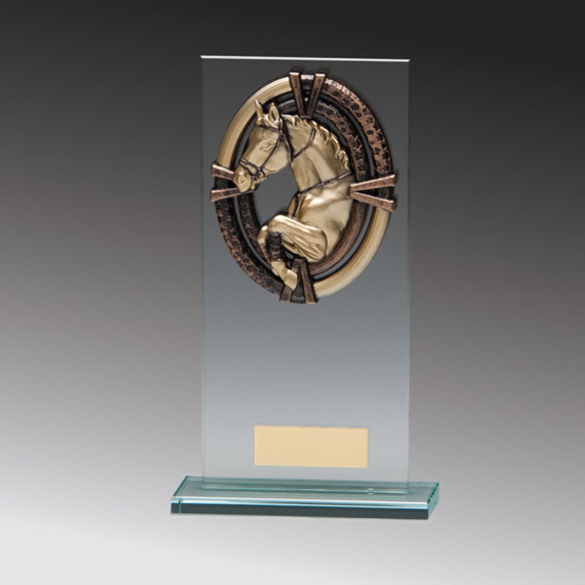 Maverick Legacy Equestrian Glass Award CR16013