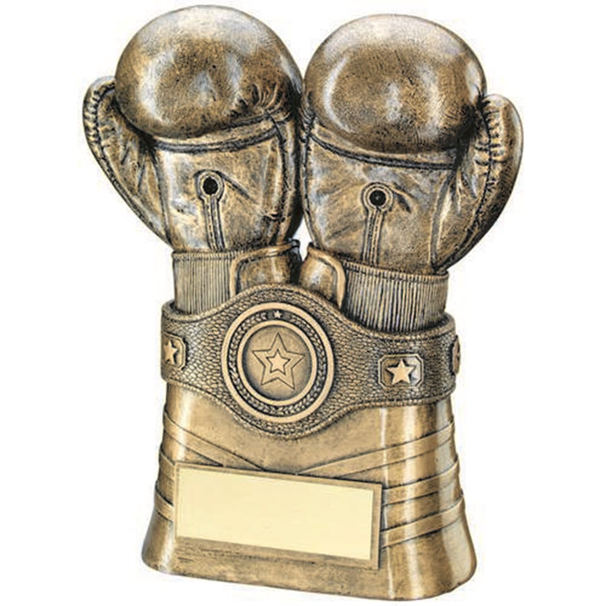 Boxing Glove Resin Award TD.RF600