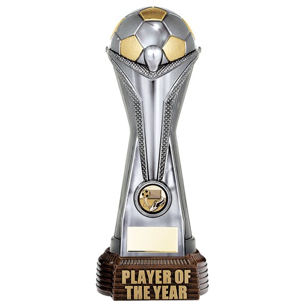 Player Of The Year Football Trophy PA18541