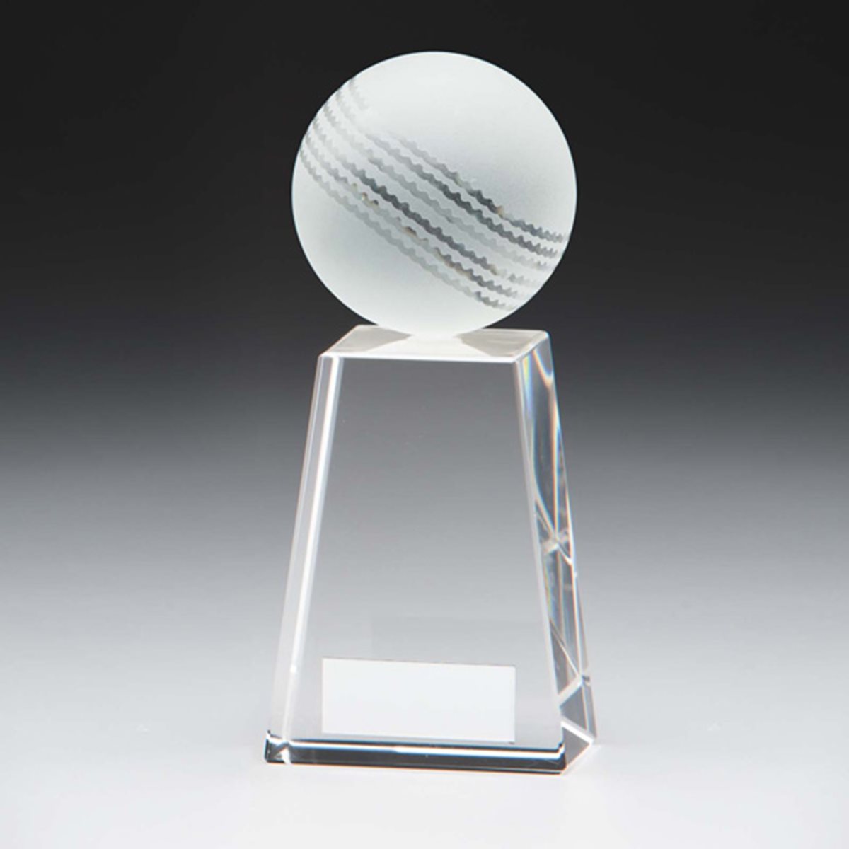 Voyager Cricket Crystal Award CR16208