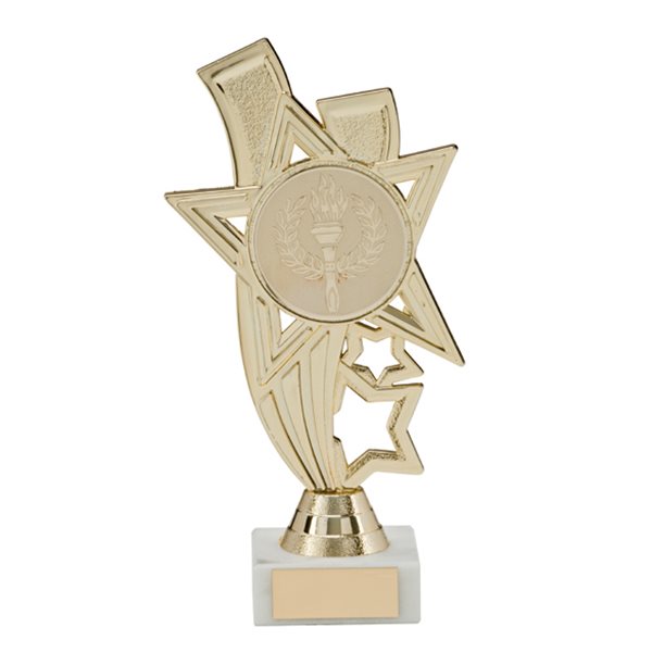 Gold Multi Achievement Award TR1651