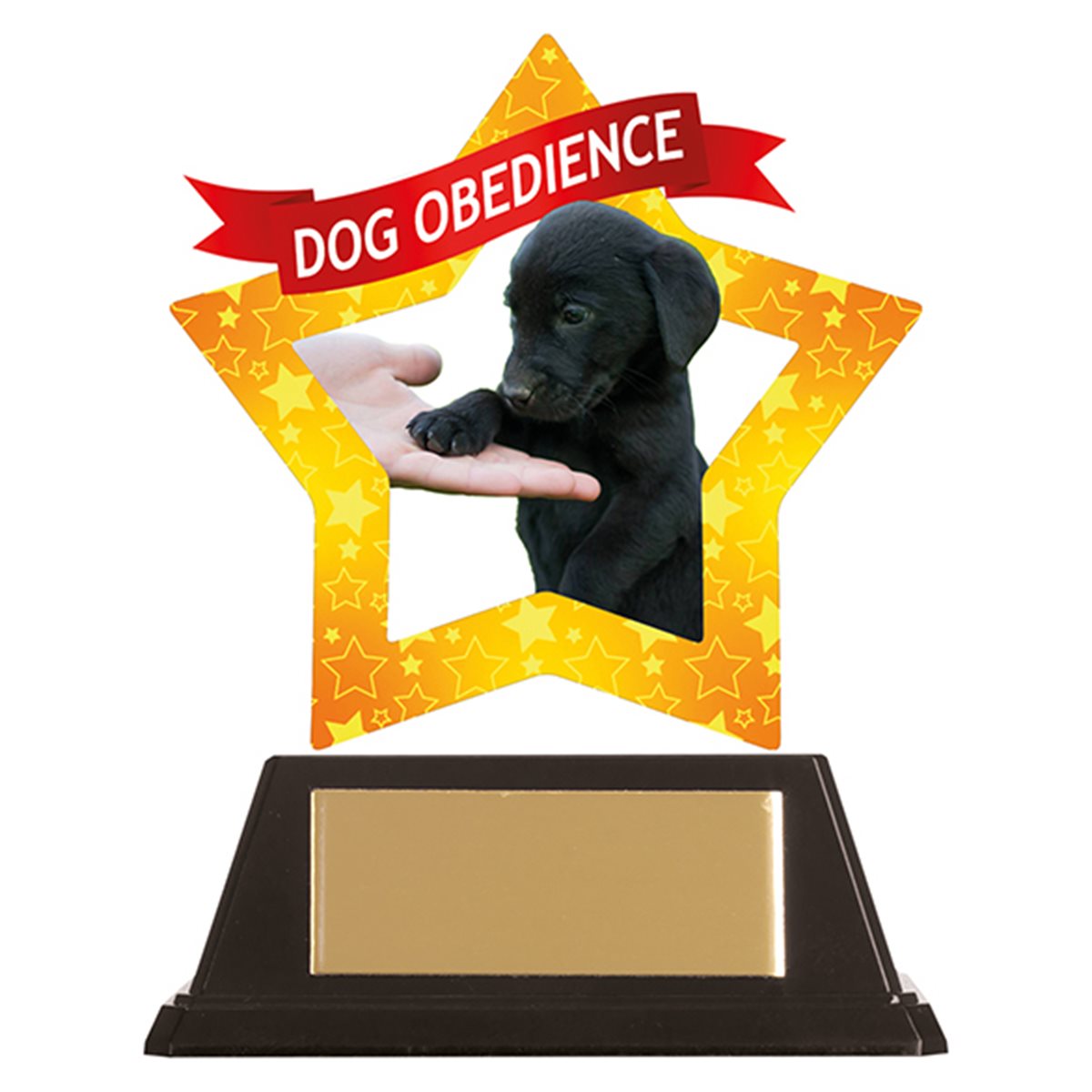 Mini Star Acrylic Dog Obedience Trophy AC19653A