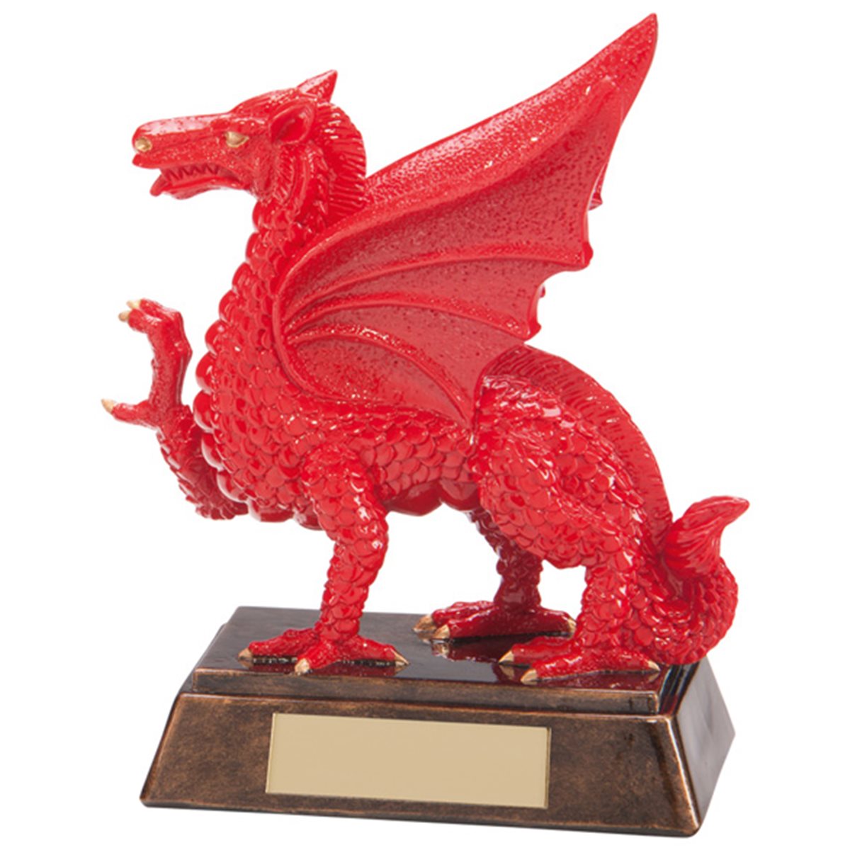 Celtic Dragon Rugby Award RF17060