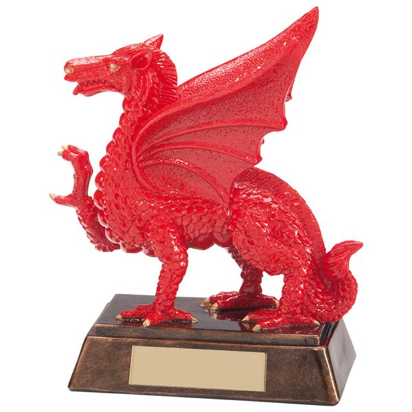 Celtic Dragon Rugby Award RF17060