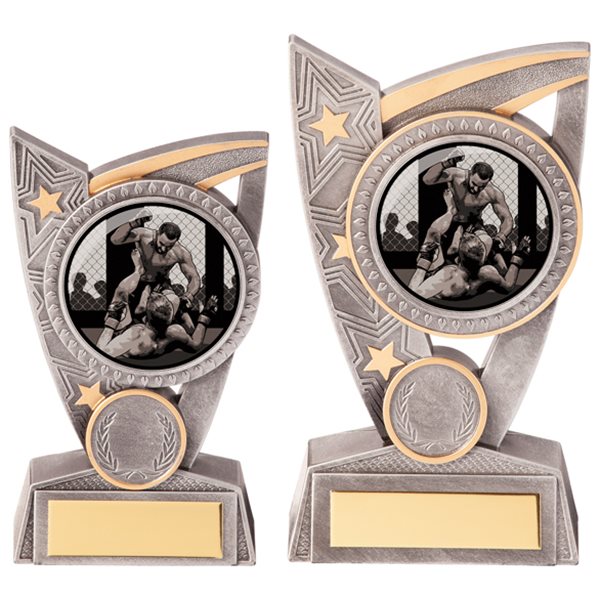 Triumph Silver Resin MMA Trophy PL20418