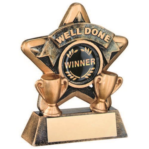 Star Well Done Resin Award JR44-RF402