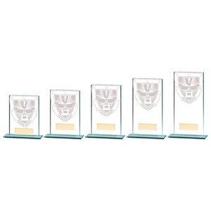 Millennium Achievement Glass Award CR20368
