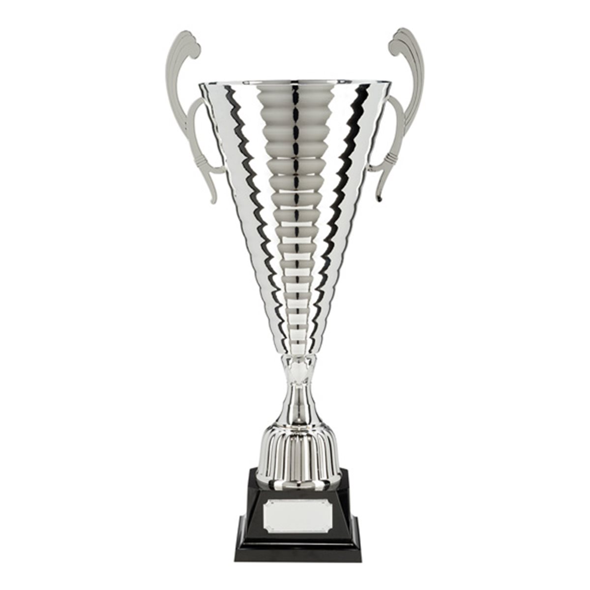 Jubilation Silver Super Cup Award TR17158