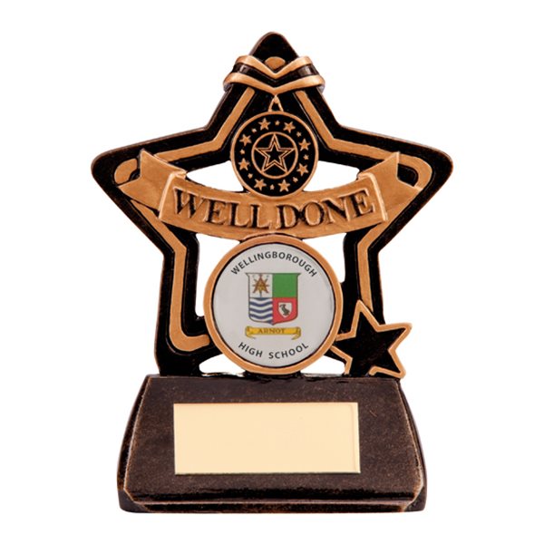 Well Done Mini Star School Resin Award RF1179