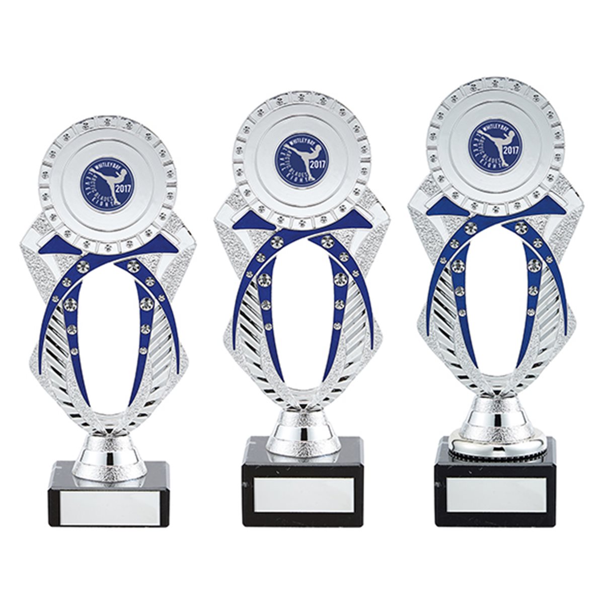 Flare Silver & Blue Plastic Award on Marble Base TR19567