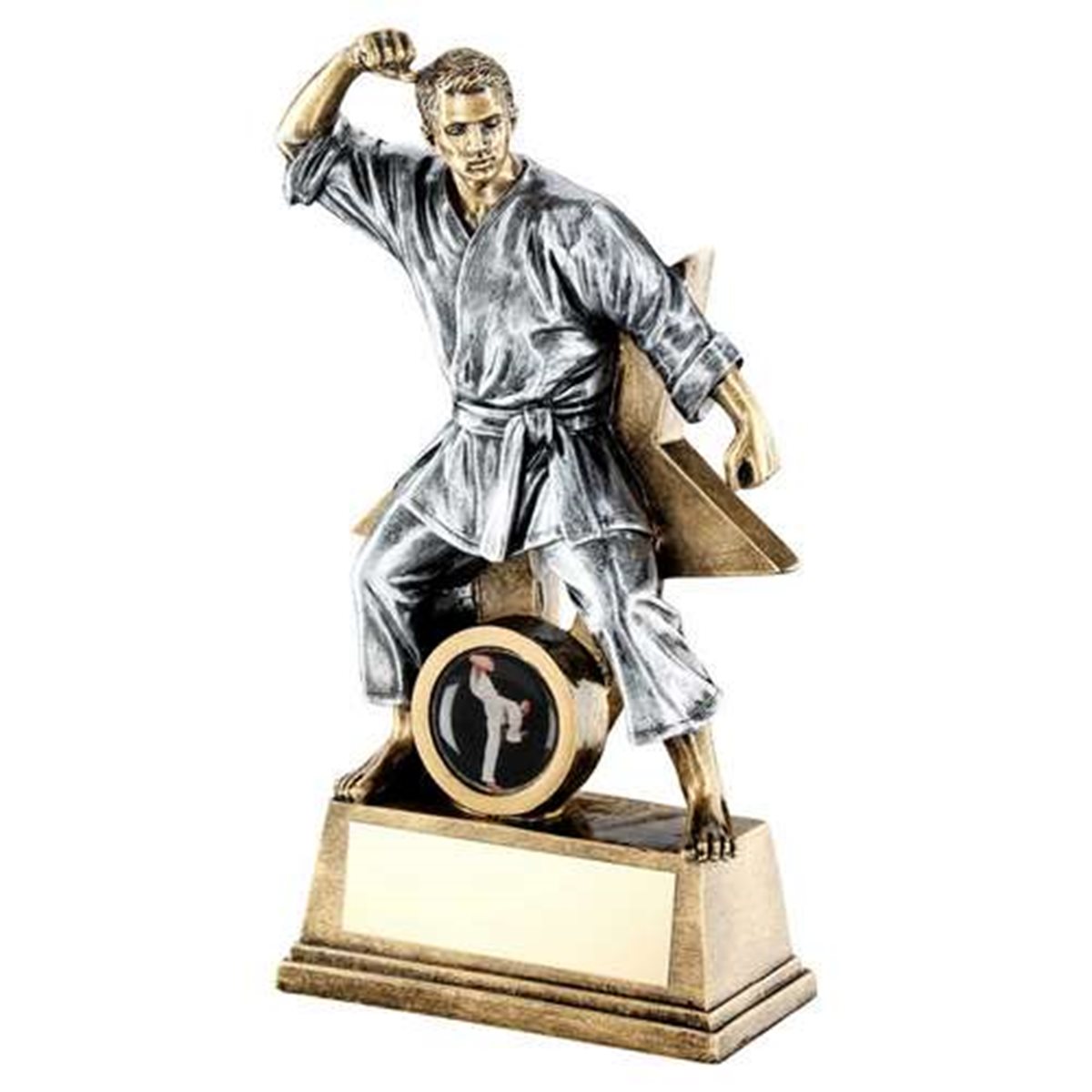 Male Martial Arts Resin Award JR11-RF185