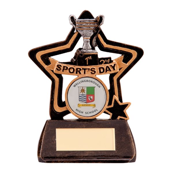 Sports Day Mini Star Resin Award RF1182