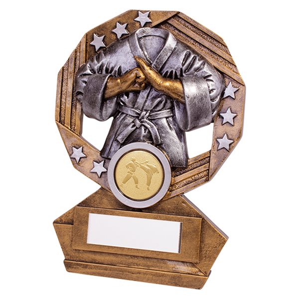 Gold and Silver Resin Karate Trophy RF19136
