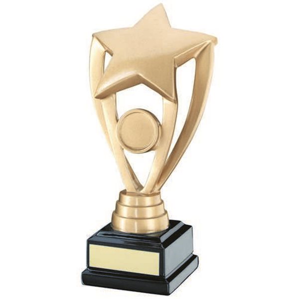 Gold Star Resin Award JR9-RF16