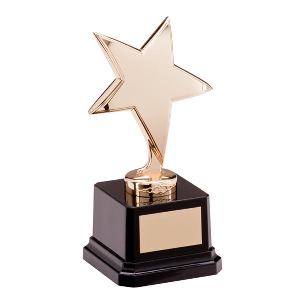 Challenger Gold Star Metal Plated Award NP1784