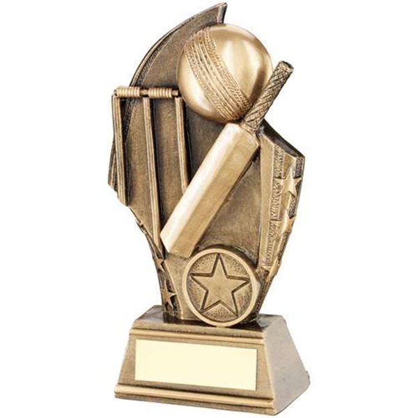 Cricket Resin Award TD.RF666