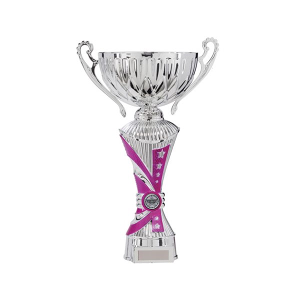All Stars Silver & Pink Cup Award TR17583